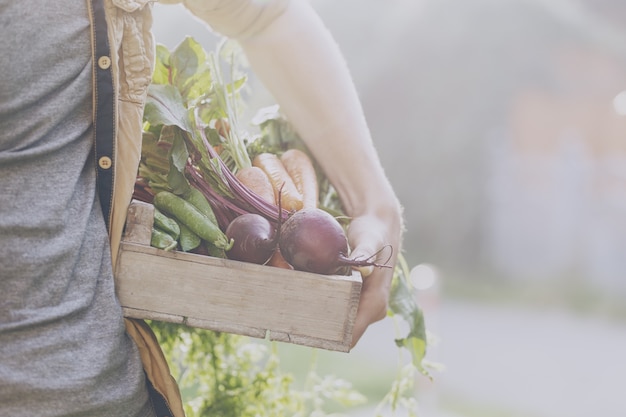 Siła naturalnych smaków: Jak lokalne produkty mogą odmienić Twoją kuchnię